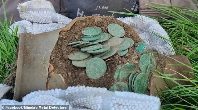 Dò kim loại trên cánh đồng, người đàn ông đào được kho báu quý giá - Hình 1