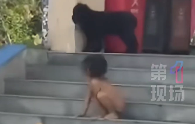 Em bé sống như người rừng, bò bằng tứ chi ở cùng cha mẹ có học vấn cao - Hình 1