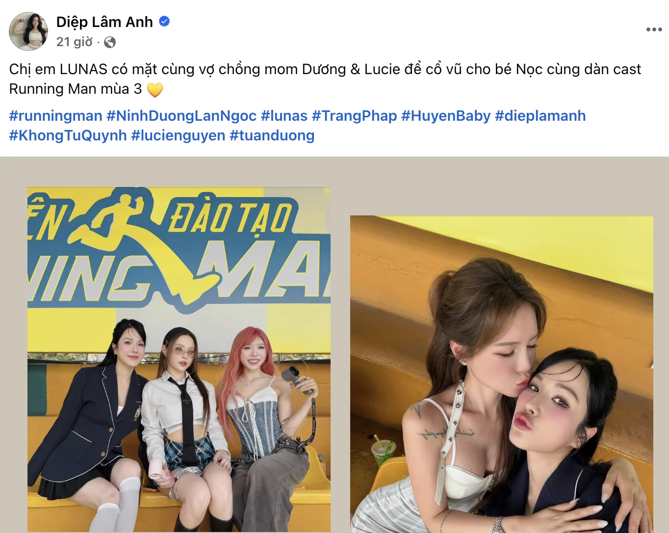 Diệp Lâm Anh đã làm gì Lan Ngọc mà bị chỉ trích đến mức này? - Hình 1