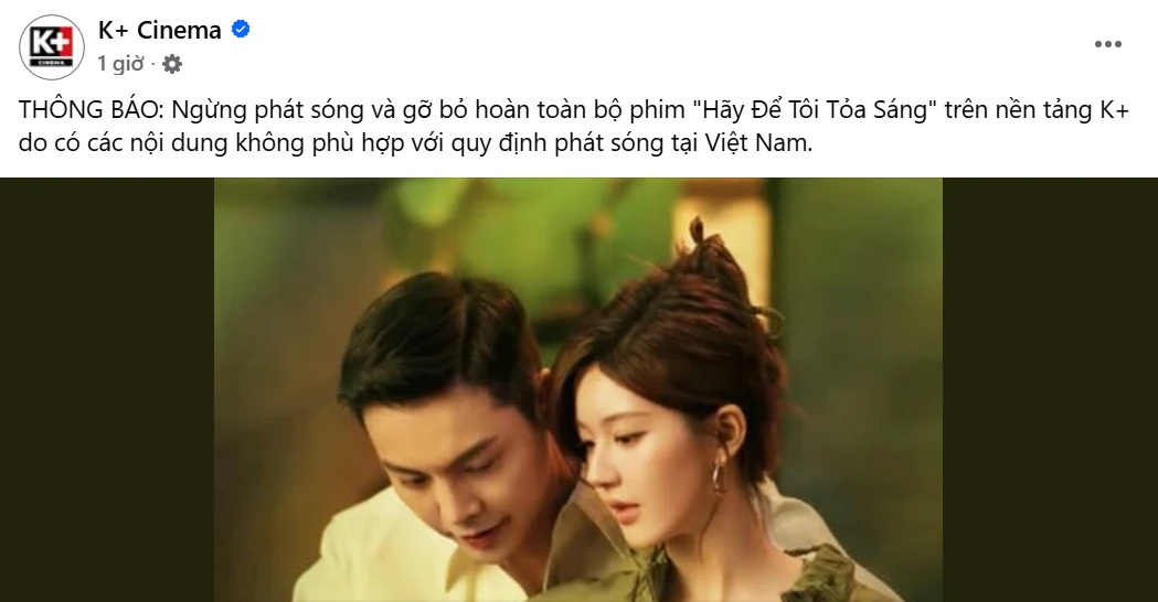 Phim của Triệu Lộ Tư bị xóa sổ hoàn toàn ở Việt Nam - Hình 4