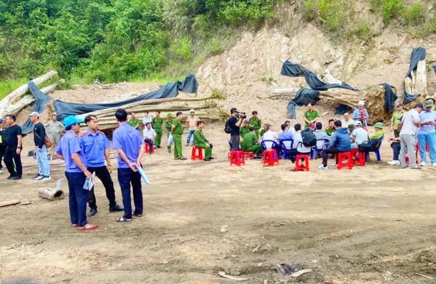 Gia Lai buộc thôi việc 5 cán bộ kiểm lâm đang bị bắt tạm giam - Hình 1