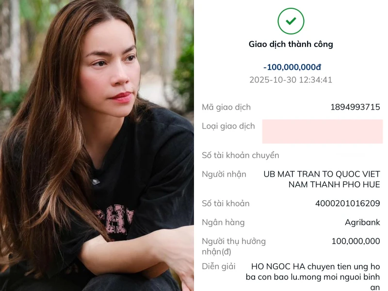 Hồ Ngọc Hà - Mỹ Tâm và dàn sao Việt giúp đỡ bà con vùng lũ, có 1 nội dung chuyển khoản rất đặc biệt - Hình 2