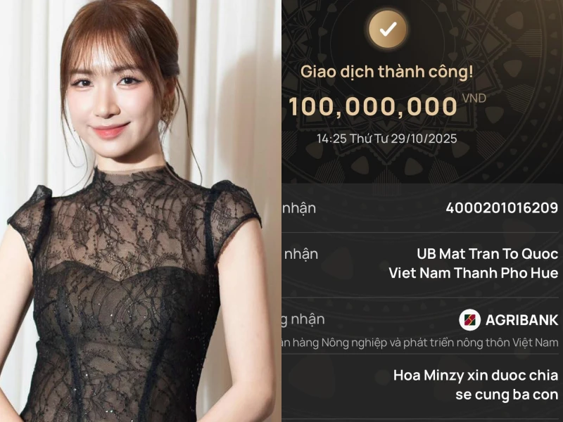 Hồ Ngọc Hà - Mỹ Tâm và dàn sao Việt giúp đỡ bà con vùng lũ, có 1 nội dung chuyển khoản rất đặc biệt - Hình 4