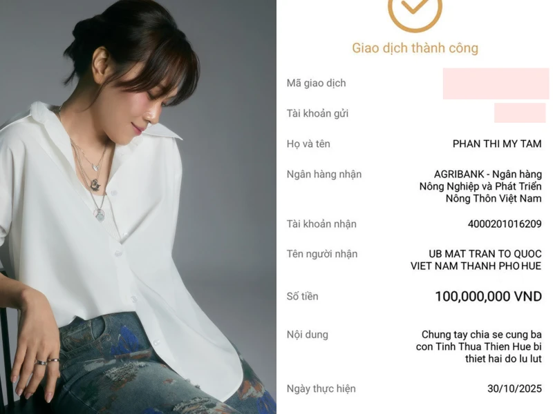 Hồ Ngọc Hà - Mỹ Tâm và dàn sao Việt giúp đỡ bà con vùng lũ, có 1 nội dung chuyển khoản rất đặc biệt - Hình 1