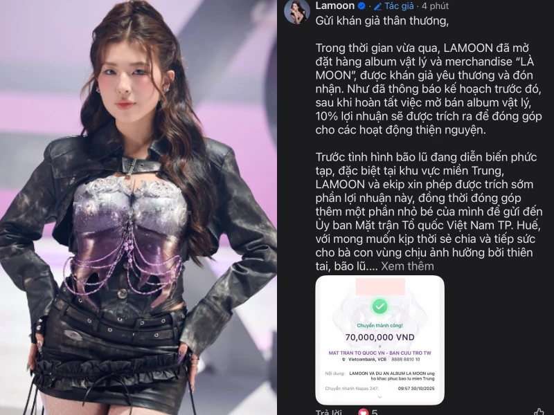 Hồ Ngọc Hà - Mỹ Tâm và dàn sao Việt giúp đỡ bà con vùng lũ, có 1 nội dung chuyển khoản rất đặc biệt - Hình 5