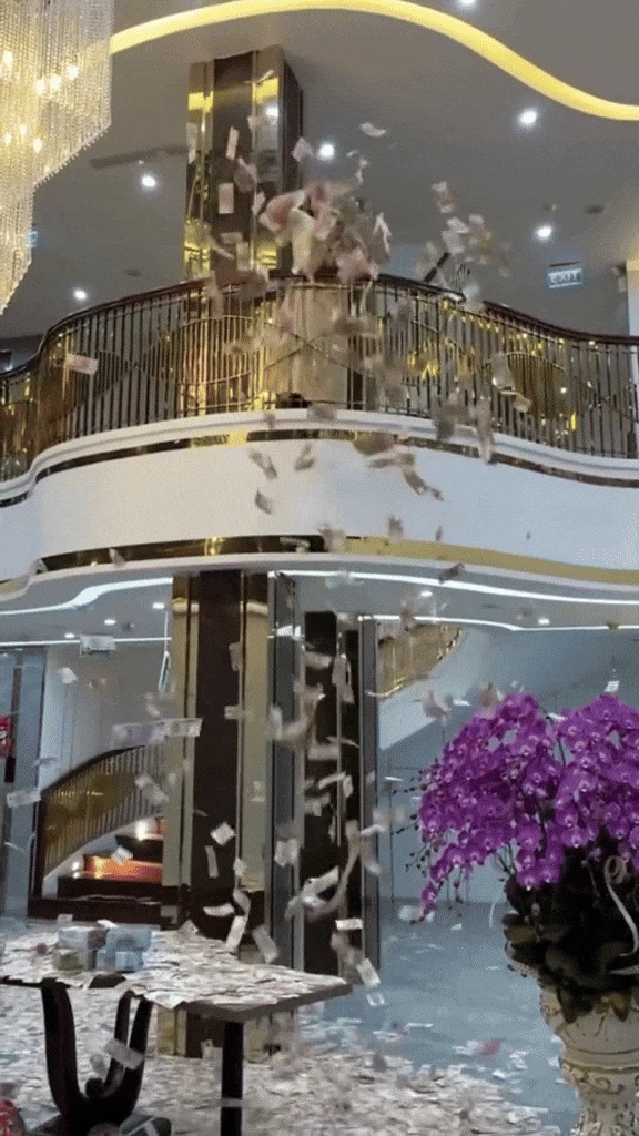 Hoàng Hường khoe biệt thự, xe sang trước khi bị bắt - Hình 1