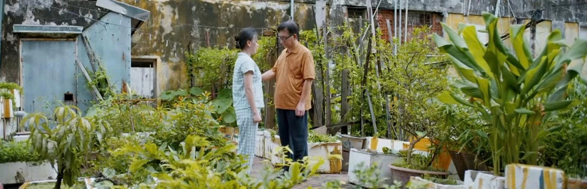 Gió ngang khoảng trời xanh tập 41: Đăng xin Mỹ Anh tha thứ vì ngoại tình - Hình 3