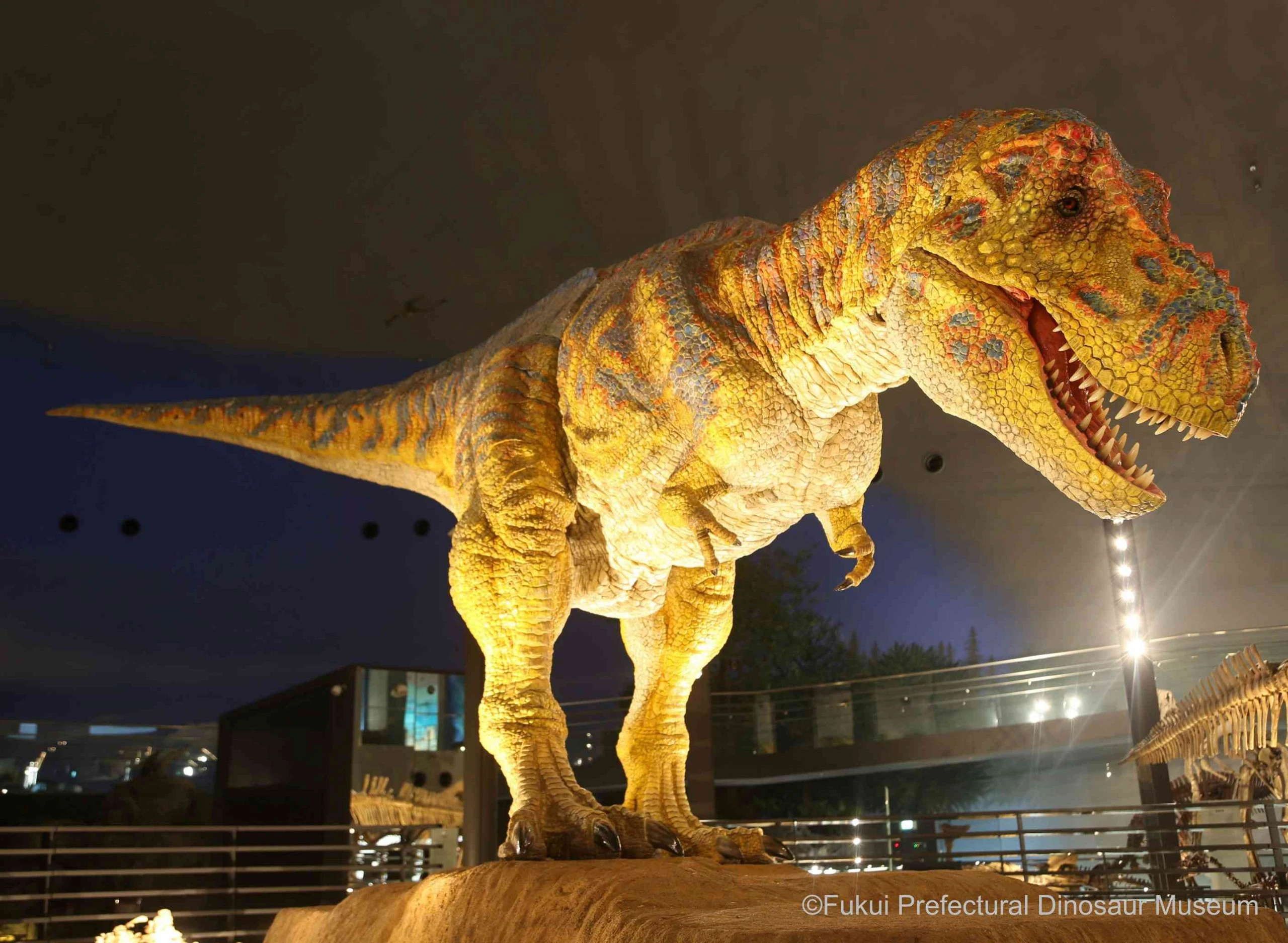 Khám phá bảo tàng khủng long giữa mùa đông Nhật Bản - Hình 3