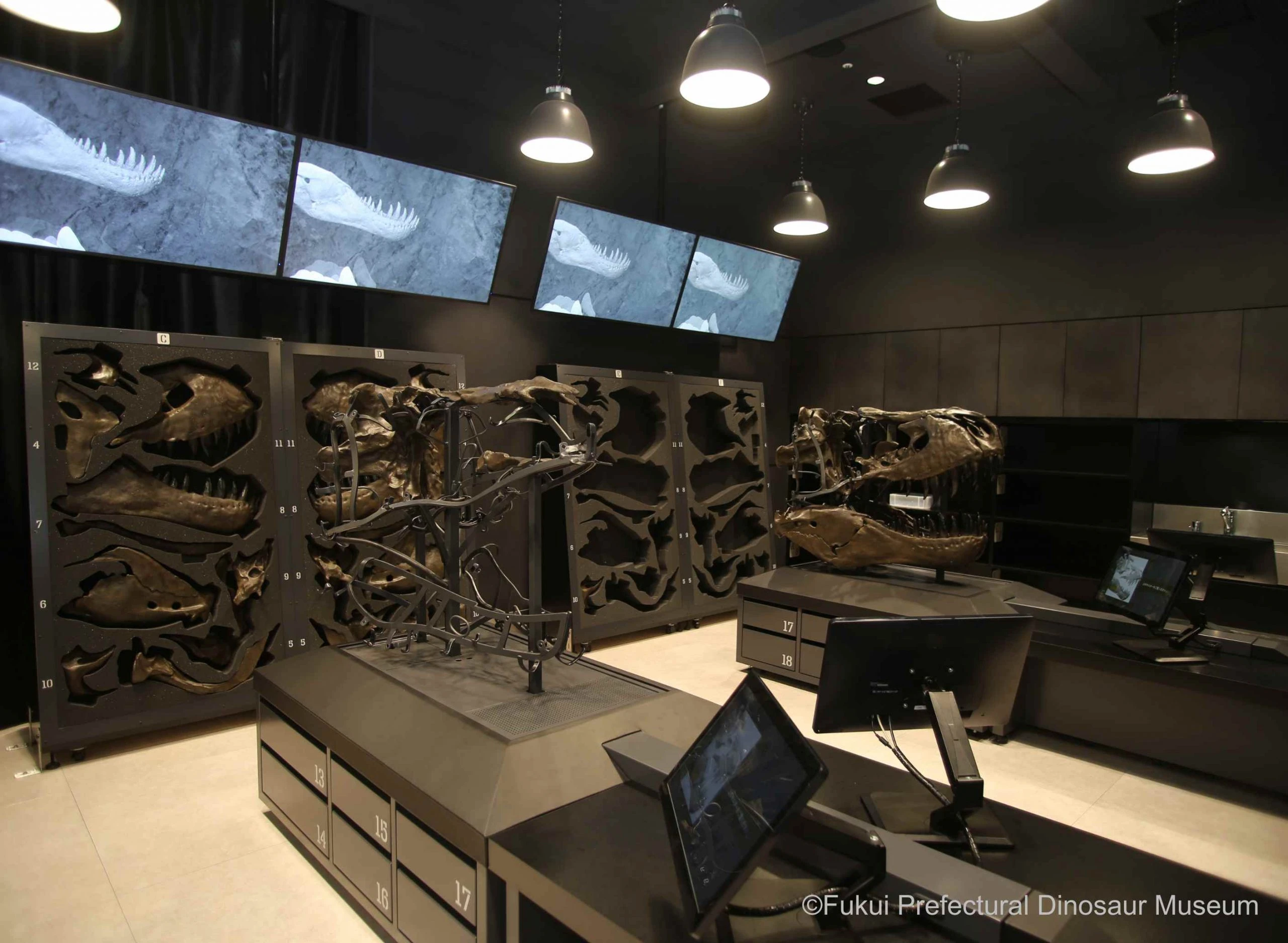 Khám phá bảo tàng khủng long giữa mùa đông Nhật Bản - Hình 4