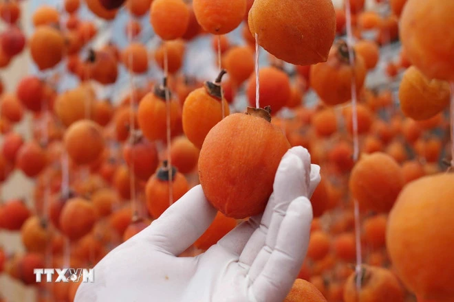 Khám phá mùa quả hồng trên cao nguyên Đà Lạt - Hình 3