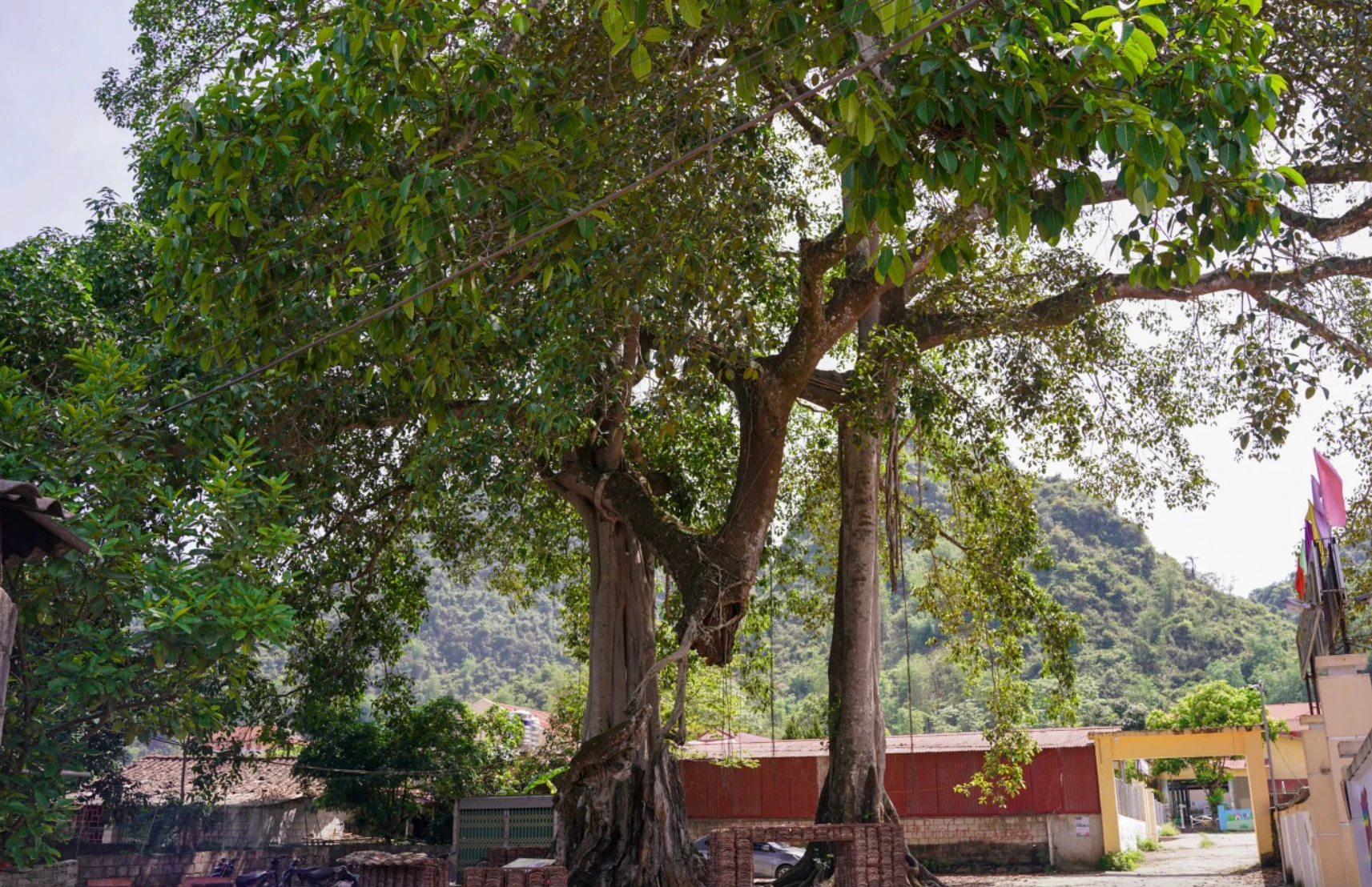 Khám phá ngôi làng 400 nóc nhà của người Tày tại Làng du lịch tốt nhất thế giới - Hình 3