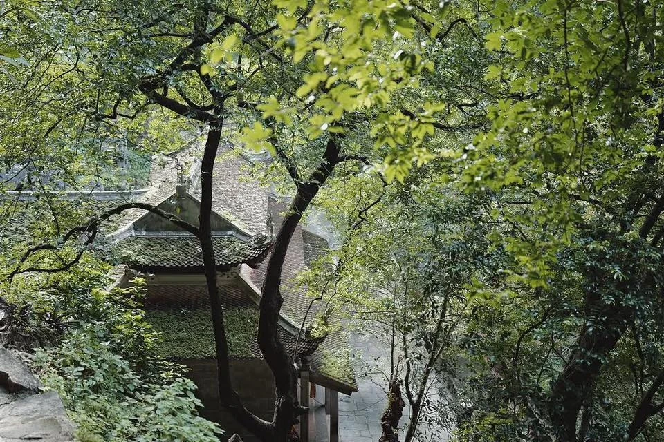 Nghe tin phim Hàn siêu hot quay ở Việt Nam mà mừng phát khóc: Nữ chính là minh tinh hạng A đẹp nức nở, cả MXH rủ nhau đi casting - Hình 3