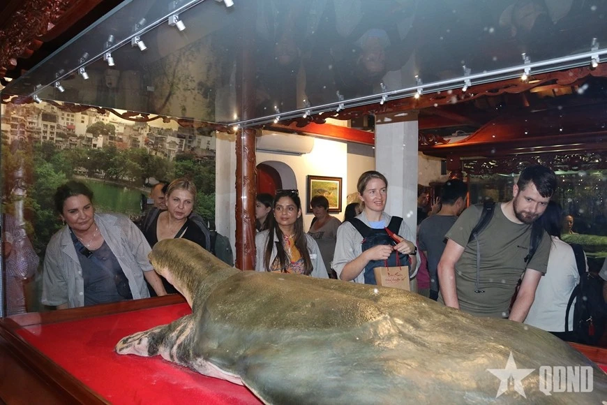 Sức hút đặc biệt của Ngọc Sơn - đêm huyền bí - Hình 10