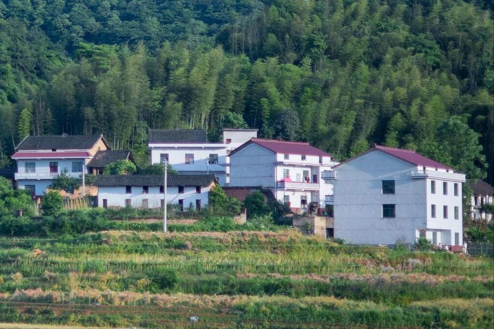 Mua nhà ở quê hay ở phố? Tôi 47 tuổi và chọn phố, dù quê rất đẹp – vì 3 lý do thực tế này - Hình 3