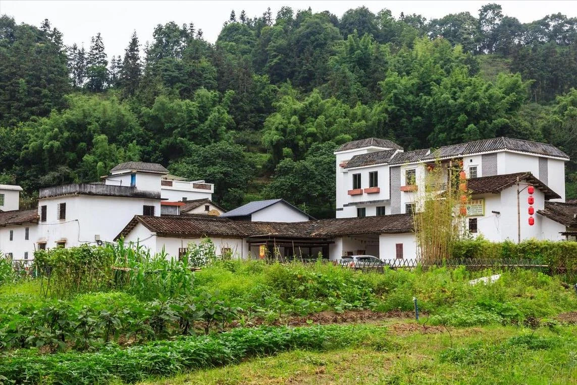 Mua nhà ở quê hay ở phố? Tôi 47 tuổi và chọn phố, dù quê rất đẹp – vì 3 lý do thực tế này - Hình 2