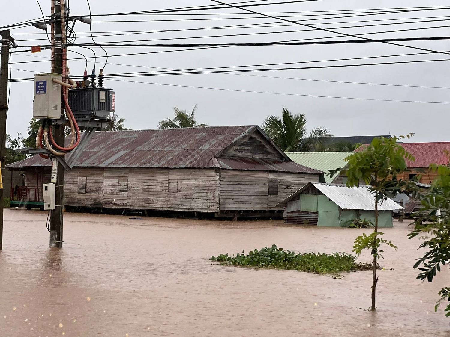 Phú Yên cũ: Chìm trong lũ, trẻ em và người già đói rét kêu cứu giữa biển nước - Hình 4