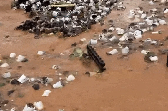 Lũ cuốn trôi vườn sen đá tiền tỷ của chủ vườn lớn nhất Đà Lạt - Hình 1