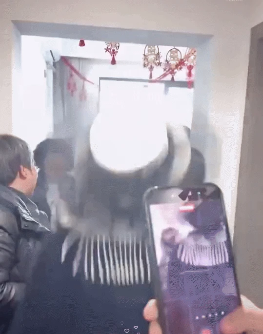 Tràn lan clip nữ thần đẹp bậc nhất showbiz không mời mà tới 1 hôn lễ, làm đủ trò lố lăng phá nát đám cưới - Hình 1