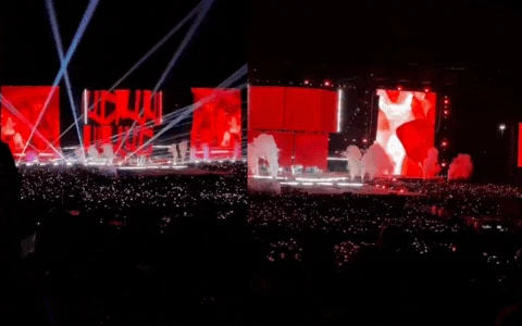 Fan Việt đỉnh nhất thế giới! - Hình 8