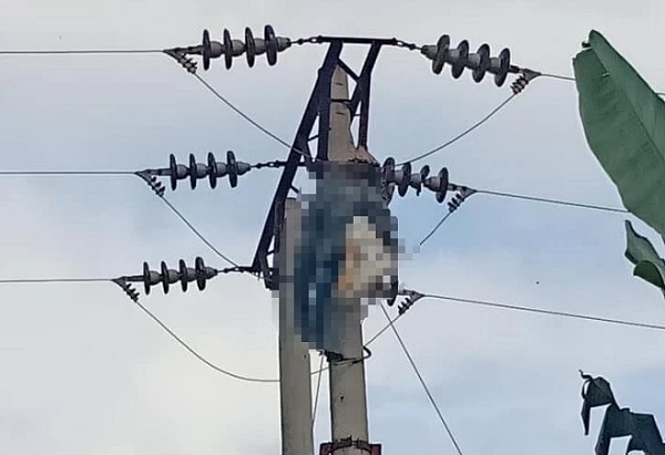 Trèo lên trụ điện bắt ong vò vẽ, nam thanh niên tử vong thương tâm - Hình 1