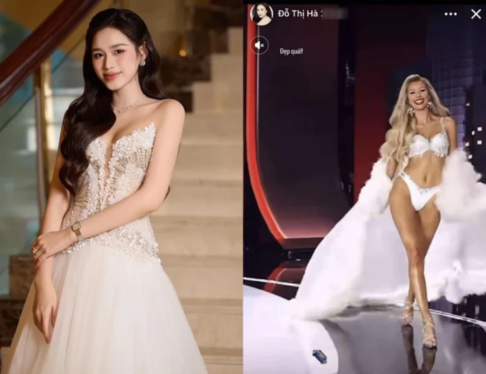 Hoa hậu Đỗ Hà nói 2 từ sốc về Tân Miss Cosmo 2025, 1 điểm bị soi, CĐM dậy sóng! - Hình 1