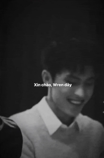 Khán giả chưa tha cho Wren Evans - Hình 1