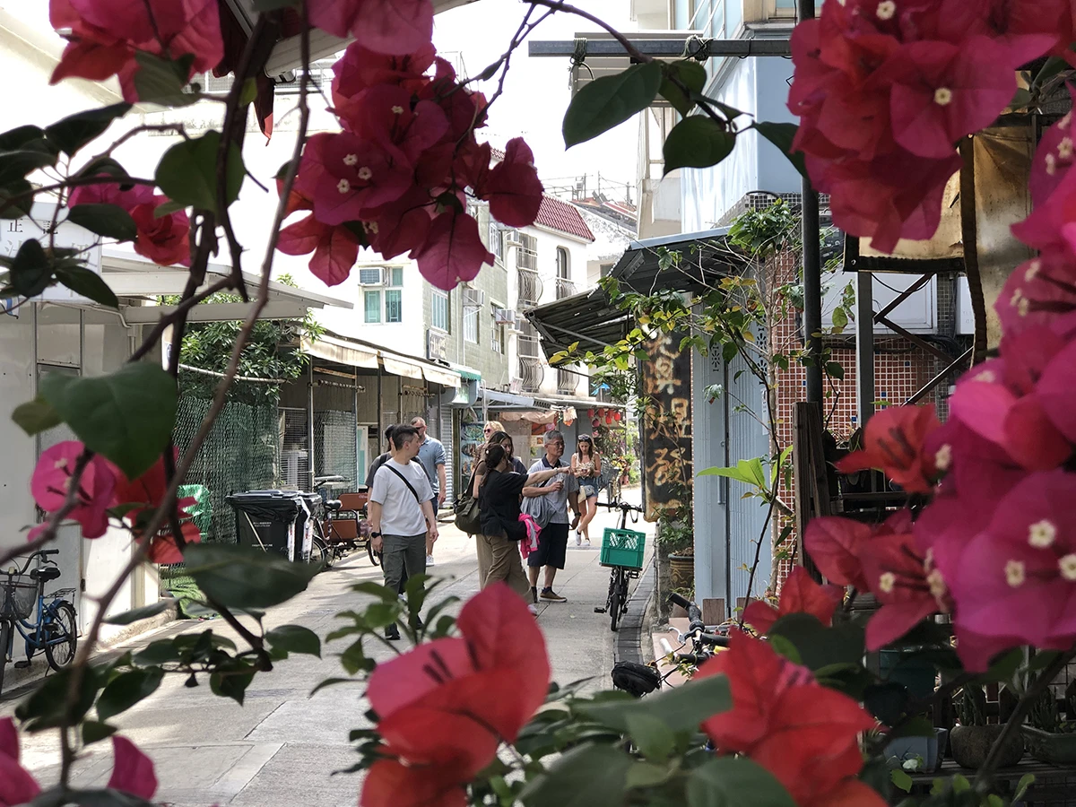 Ghé thăm làng chài cổ Tai O khác lạ ở Hồng Kông - Hình 5