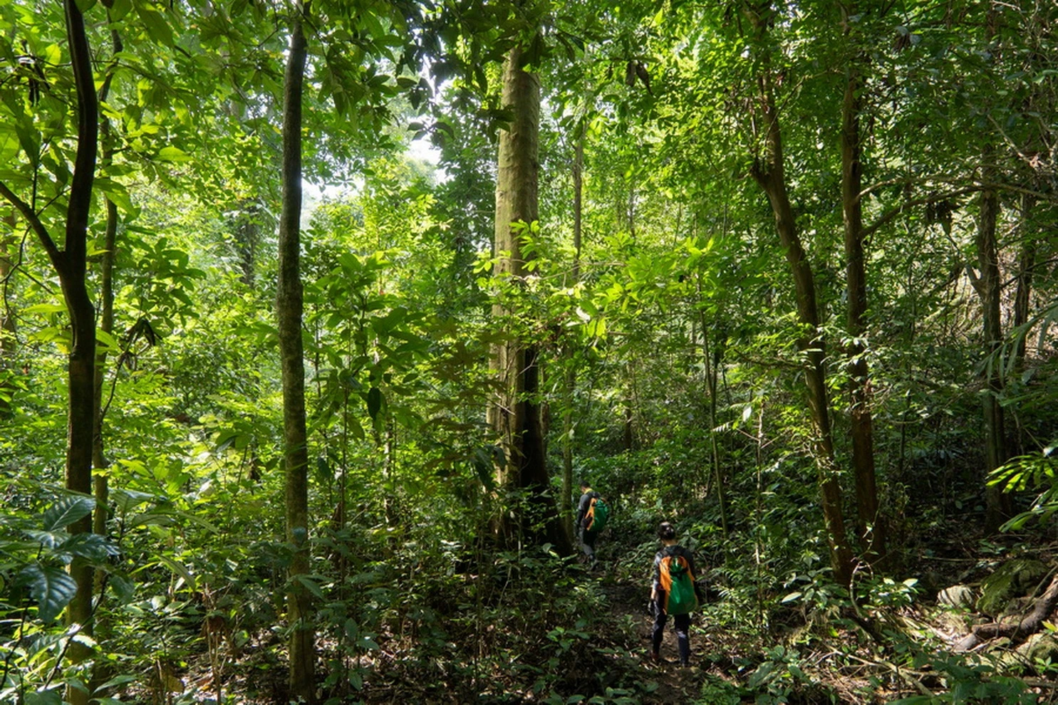 Hết vé tham quan hang Sơn Đoòng trong 2 năm tới do nhu cầu tăng cao - Hình 1