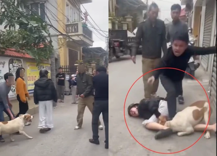 Vụ thả chó cắn người ở Hà Nội gây phẫn nộ, phút kinh hoàng giữa khu dân cư - Hình 1