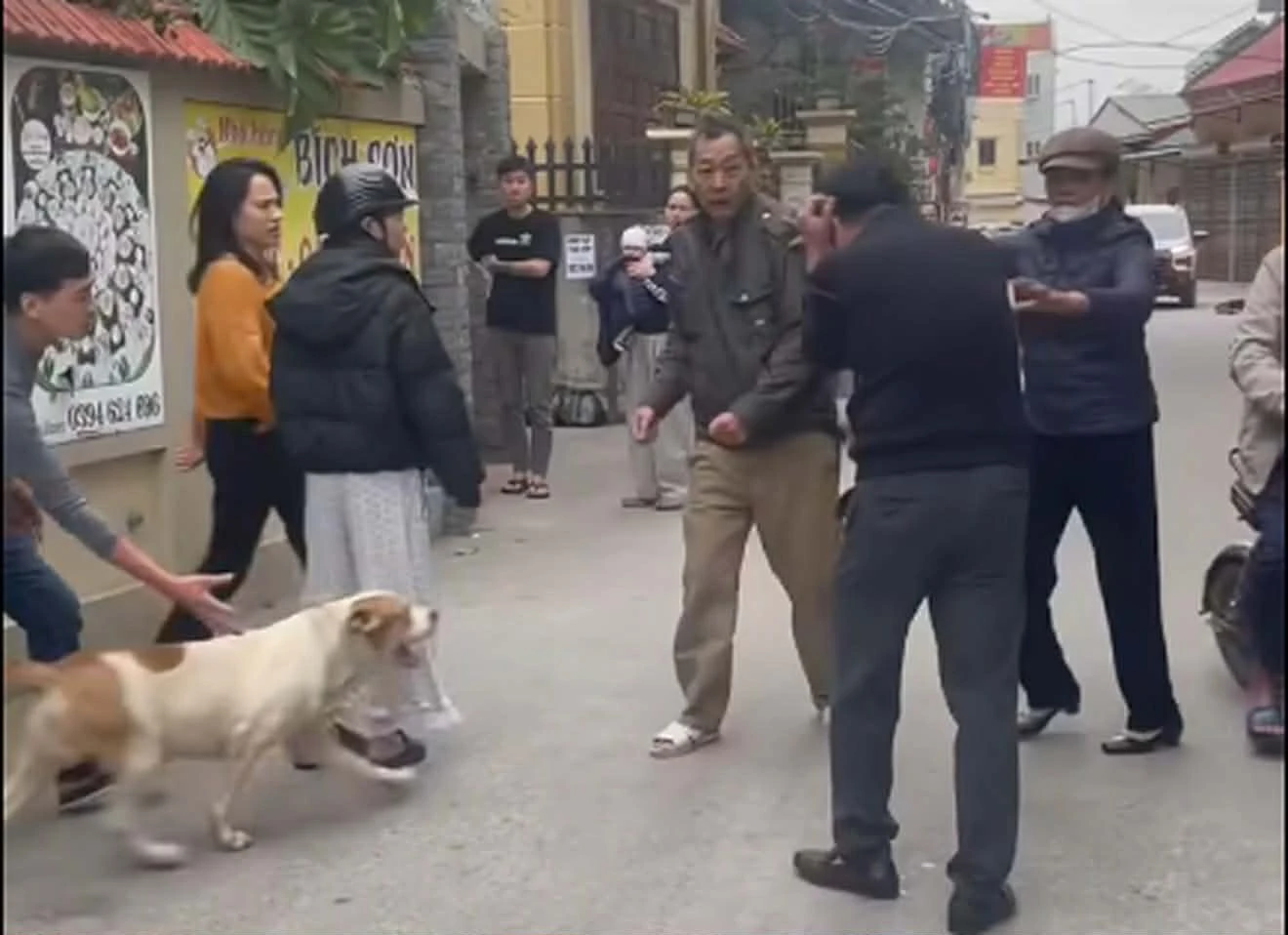 Vụ thả chó cắn người ở Hà Nội gây phẫn nộ, phút kinh hoàng giữa khu dân cư - Hình 6