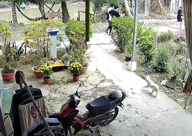 Quang Hùng xém bị táp khi ghi hình show, Thu Diễm vừa hét lớn vừa làm 1 việc? - Hình 2