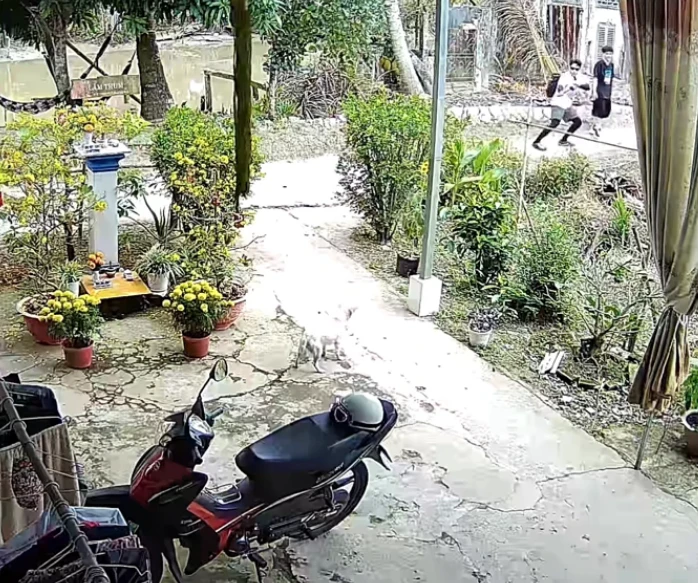 Quang Hùng xém bị táp khi ghi hình show, Thu Diễm vừa hét lớn vừa làm 1 việc? - Hình 3