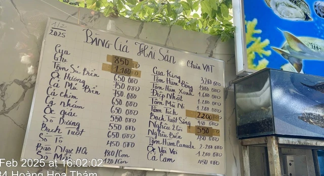 4 con sò điệp giá hơn 1,4 triệu đồng, quán ăn ở Vũng Tàu bị soi - Hình 4