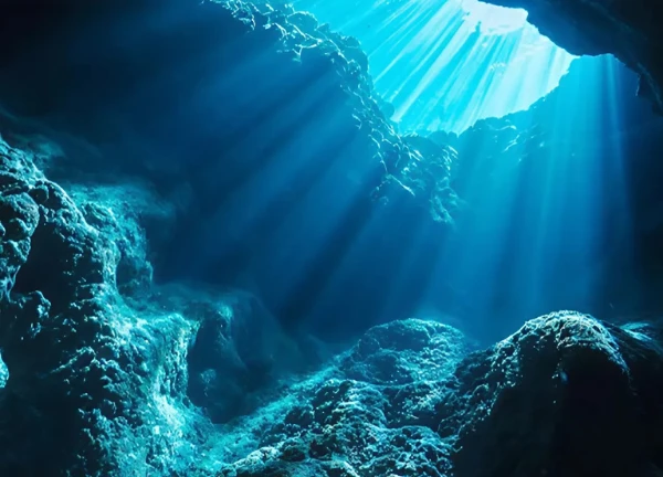 Bí mật đại dương: Dự án Deep lật mở những điều chưa biết? - Hình 3