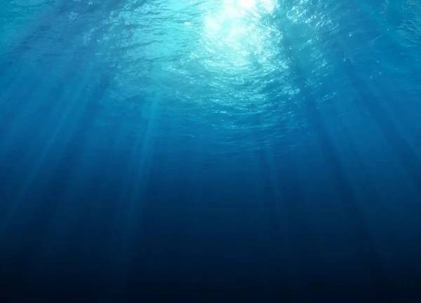 Bí mật đại dương: Dự án Deep lật mở những điều chưa biết? - Hình 6
