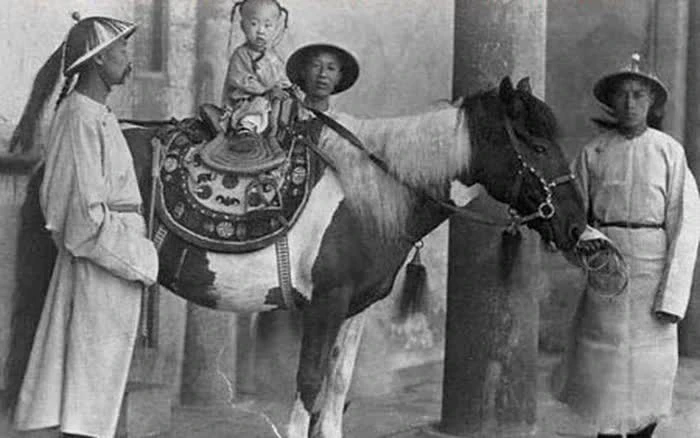 Em ruột mờ nhạt của Từ Hi Thái hậu: Chị gái đối xử tàn nhẫn, kết cục bi thương - Hình 6