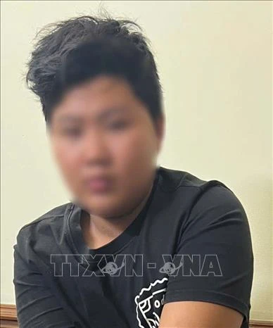 Vụ cháu thuê bạn xử bà nội: thuê 5 củ, hại bà để lấy 180 ngàn, lý do phẫn nộ - Hình 5