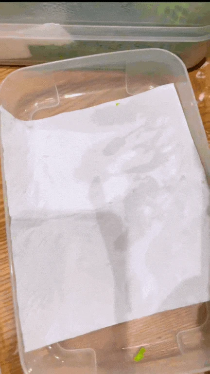 Mẹ đảm ở TP HCM chia sẻ cách bảo quản rau củ cả tuần trong tủ lạnh vẫn tươi roi rói, mang cả chợ về nhà vẫn vô tư! - Hình 16