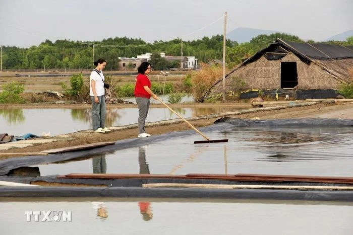 Trải nghiệm ấp đảo độc đáo ở Thành phố Hồ Chí Minh - Hình 9
