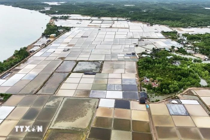 Trải nghiệm ấp đảo độc đáo ở Thành phố Hồ Chí Minh - Hình 7