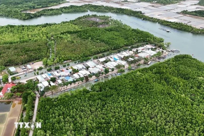 Trải nghiệm ấp đảo độc đáo ở Thành phố Hồ Chí Minh - Hình 10