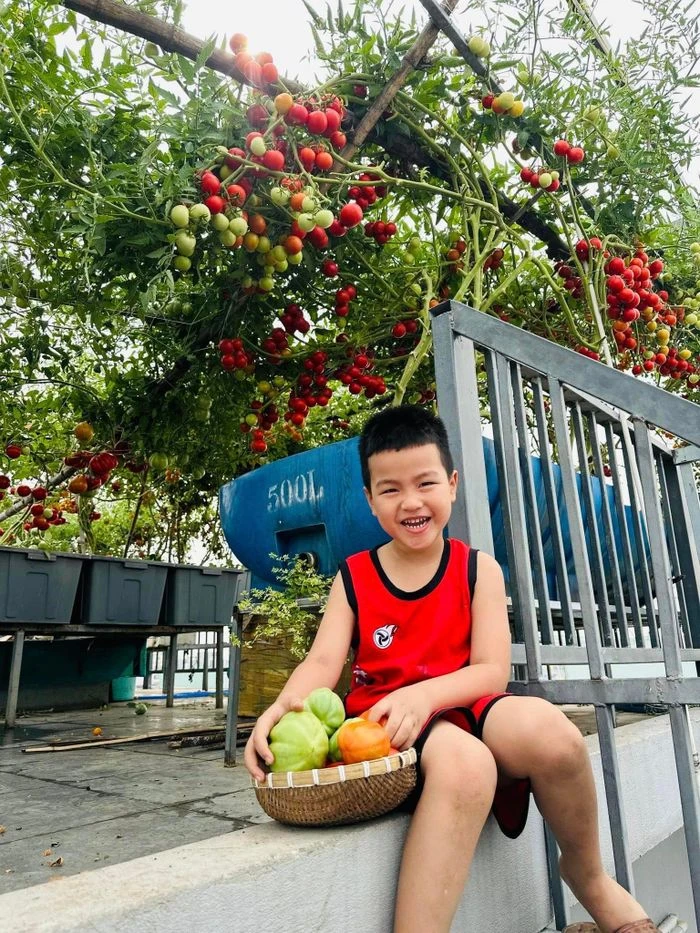 Khai hoang sân thượng tầng 5 làm vườn, mẹ đảm thu hút 117.000 người theo dõi - Hình 2