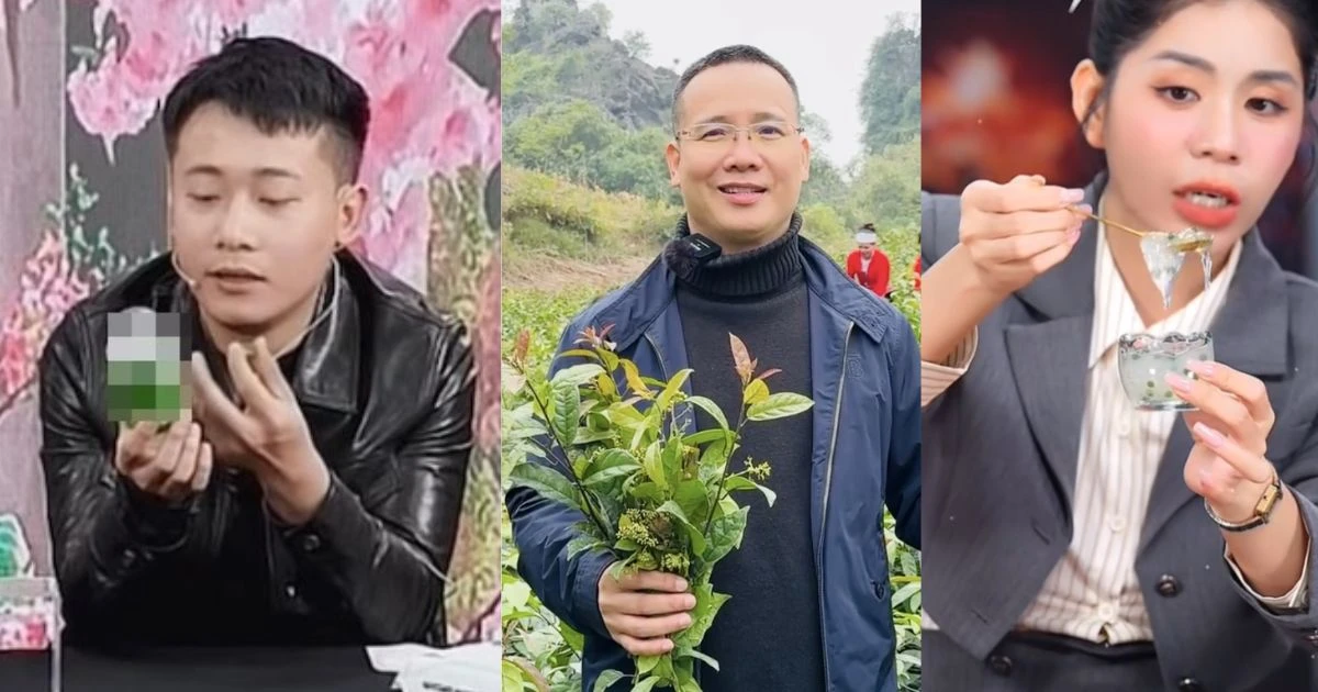 Nhà báo khịa đĩa rau của Quang Linh Vlogs, sâu cay chế tên thành Hằng Du Đãng? - Hình 9