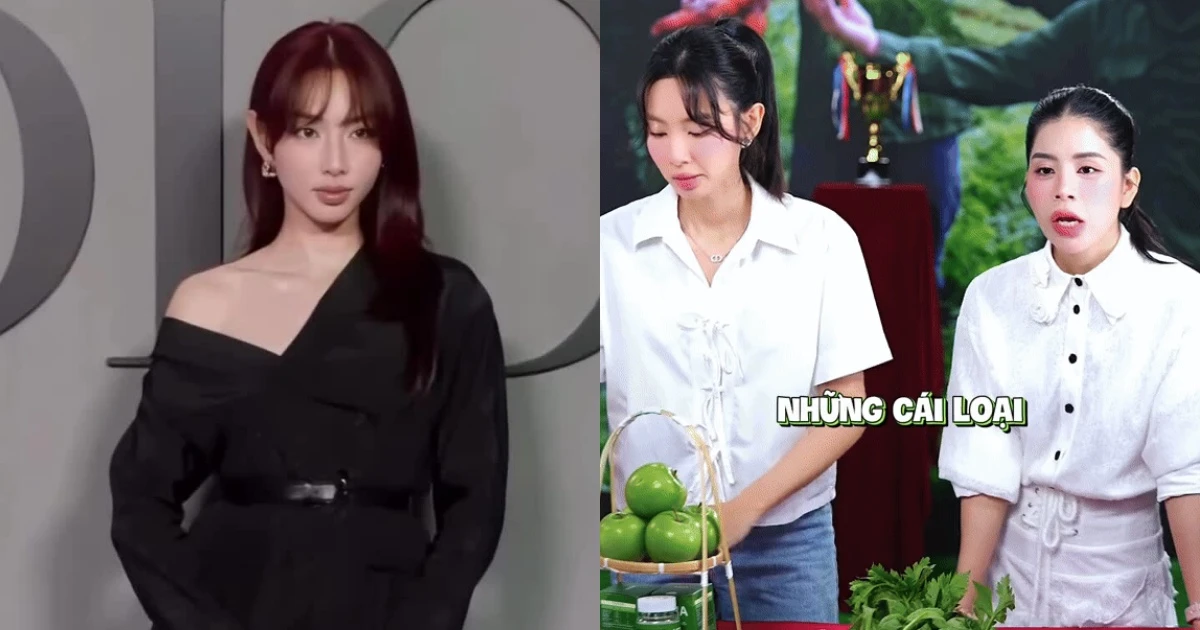 Thuỳ Tiên bị lên án vì hợp tác với Quang Linh PR sản phẩm, con chung gặp nạn - Hình 7