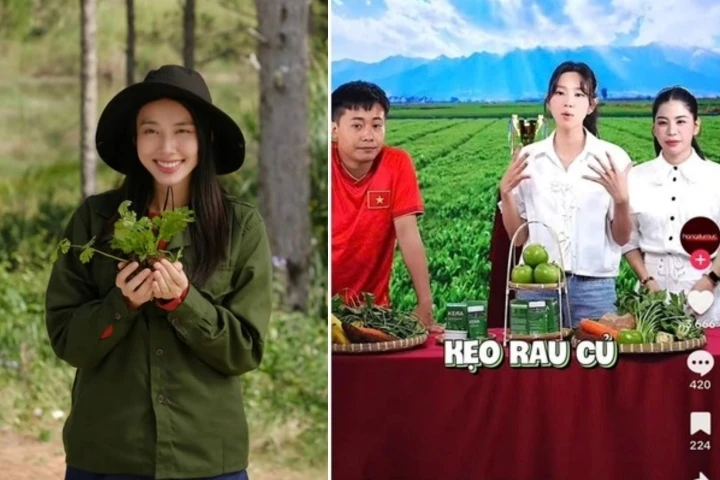 Công ty của Quang Linh - Hằng Du Mục phải giải trình gì về vụ kẹo rau củ? - Hình 2