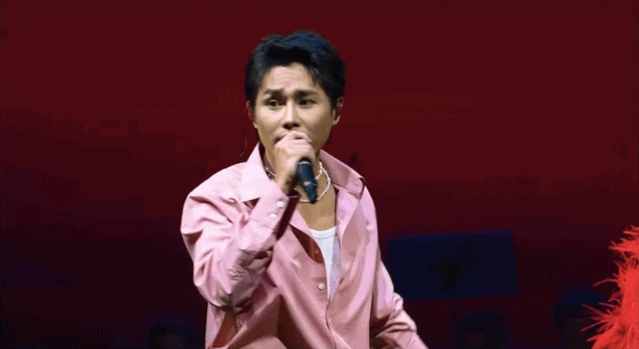 Một sao Việt huỷ show tại nước ngoài, lý do làm fan lo lắng - Hình 2