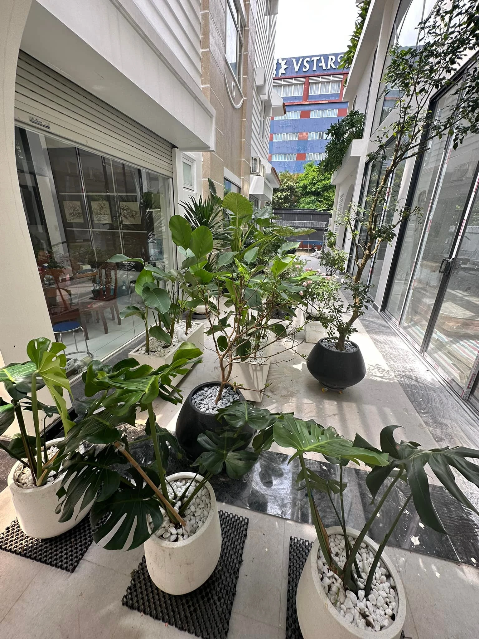 Nữ diễn viên sở hữu nhà 1000m2 ở Quận 7, khu du lịch 50.000m2 ở Tiền Giang, sinh 4 con vẫn đẹp - Hình 9