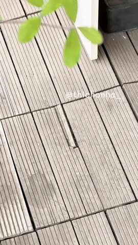 Sau 3 năm sống ở chung cư, cô gái trẻ chia sẻ sai lầm cực quan trọng, ai sửa nhà nên lưu ý - Hình 3