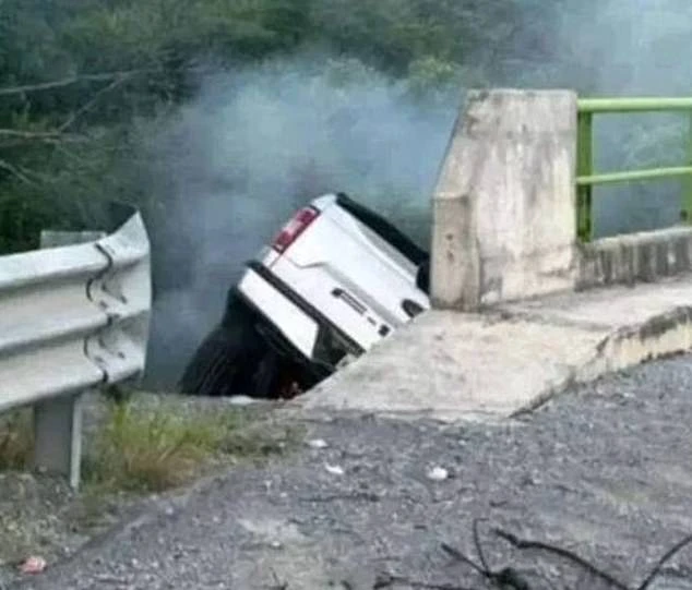 Hoa hậu Châu Âu bị cảnh sát truy đuổi, đăng xuất ngay giữa cầu vượt, lý do sốc - Hình 6