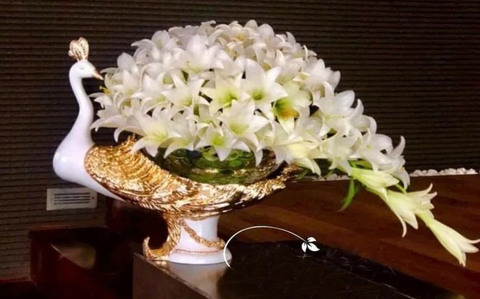Cách chọn, cắm hoa loa kèn tươi lâu trong nhà - Hình 1